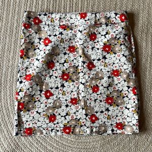 Ann Taylor Floral Velveteen Skirt